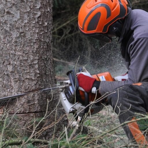 desbroce profesional en eco desbroces